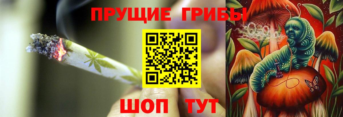 Тайшет  Псилоцибиновые грибы мухоморы  Вход с VPN 
